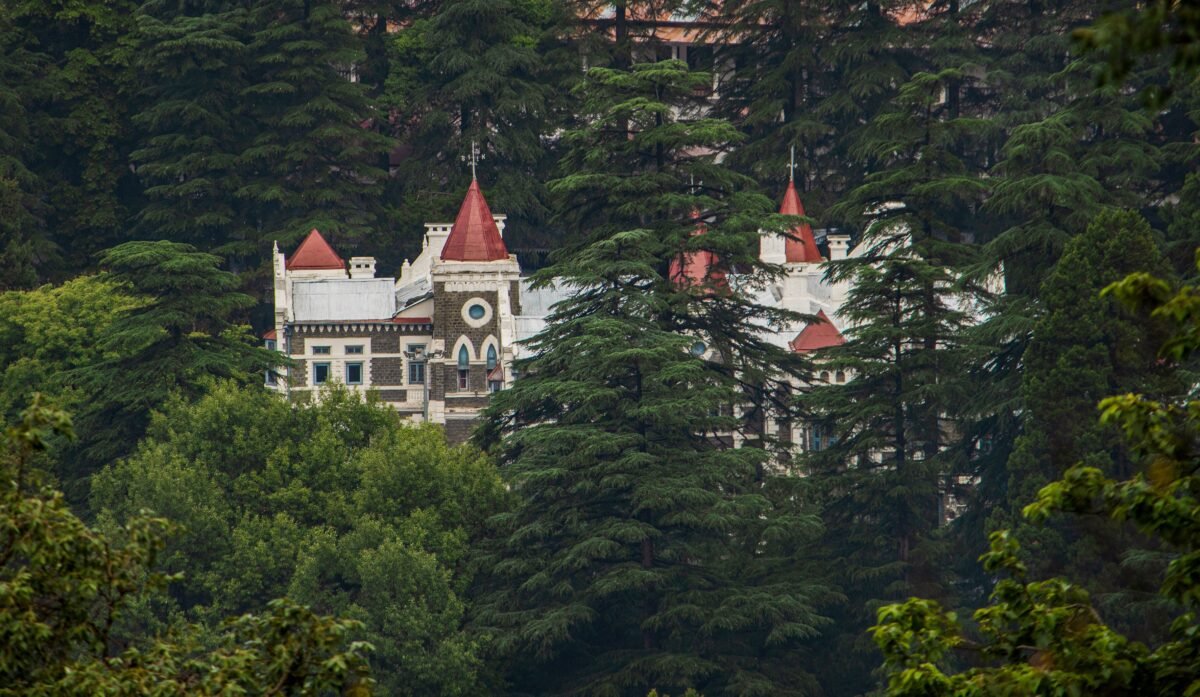 हाईकोर्ट का बड़ा आदेश: 22 सितंबर तक जारी हो अंतरिम प्रोमोशन सूची, LT ग्रेड शिक्षकों को वर्षों बाद राहत की उम्मीद
