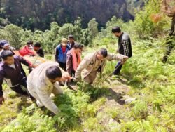 अंतिम संस्कार में जा रहे परिवार पर टूटा दुखों का पहाड़: चमोली में खाई में गिरी ईको वैन, 3 की मौत, 3 घायल