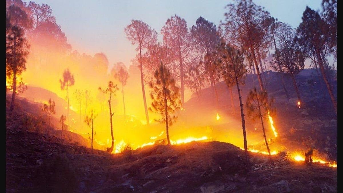 उत्तराखंड में धधक रहे जंगल, फायर सीजन 2026 बना भयावह संकट, वन्यजीवों से लेकर गांवों तक मंडरा रहा खतरा