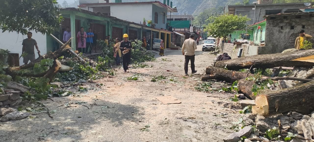 विशाल पेड़ गिरने से बंद हुआ रिठाबगड़ मार्ग, पुलिस और फायर सर्विस की तत्परता से यातायात बहाल