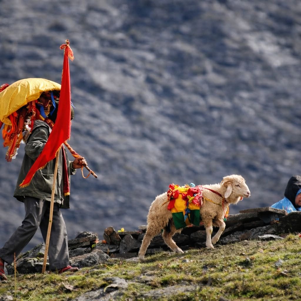 12 साल बाद माँ नंदा की बड़ी जात यात्रा शुरू