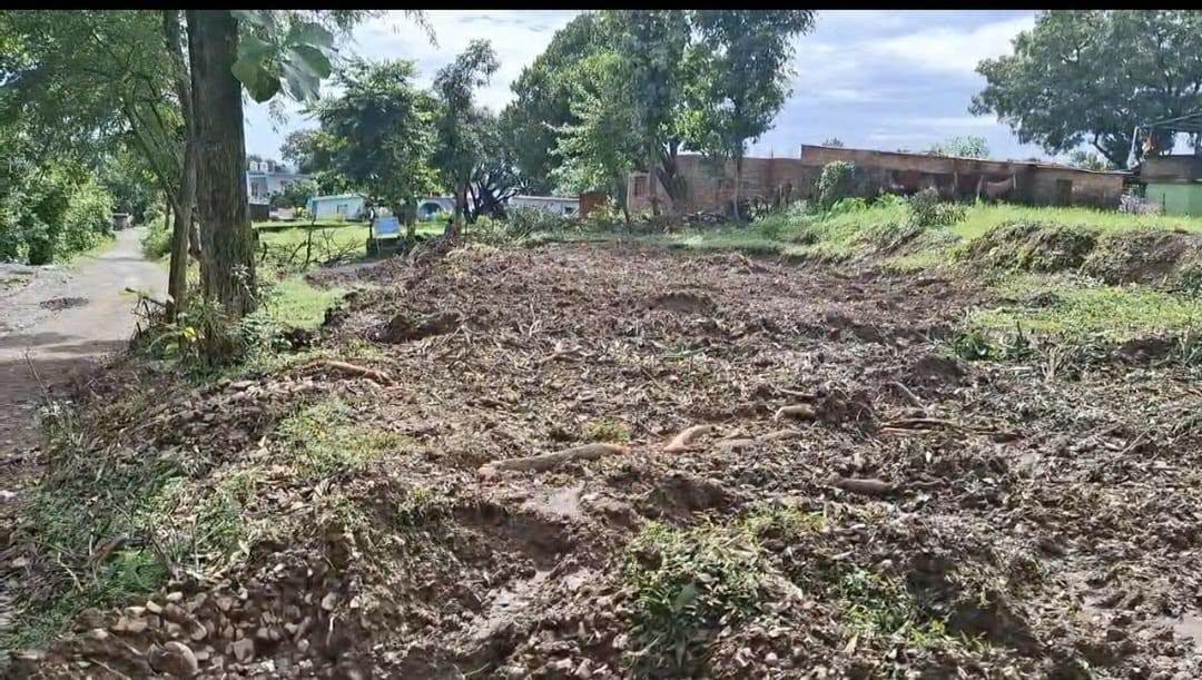 डोईवाला के थानों और खता क्षेत्र में फलदार पेड़ों के अवैध कटान से आक्रोश, वन विभाग की कार्रवाई